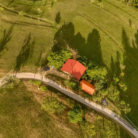 Apartment Surrounded By Forests - The Sunny Hill