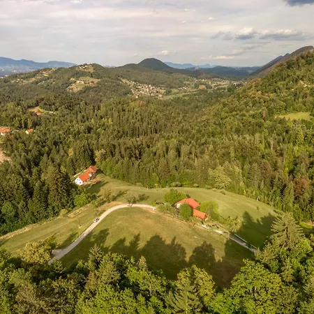 Surrounded By Forests - The Sunny Hill Appartement Grize