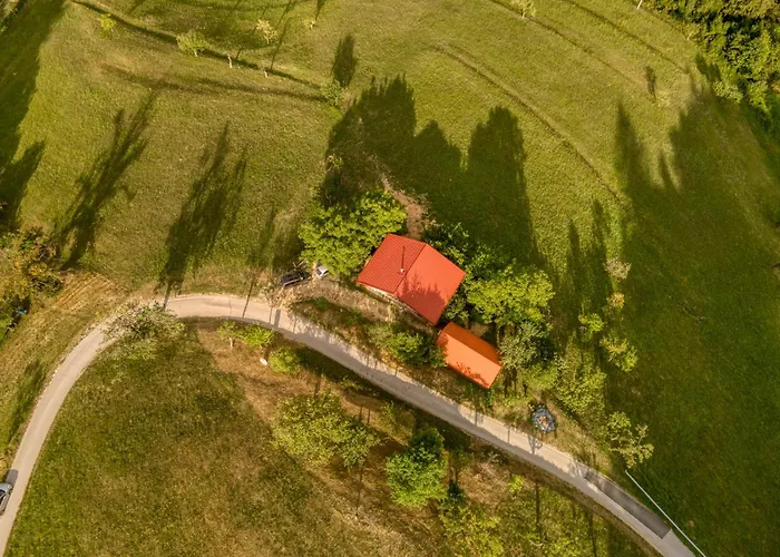 Appartement Surrounded By Forests - The Sunny Hill