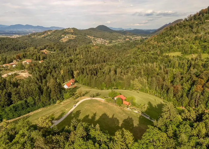 Surrounded By Forests - The Sunny Hill Appartement Grize