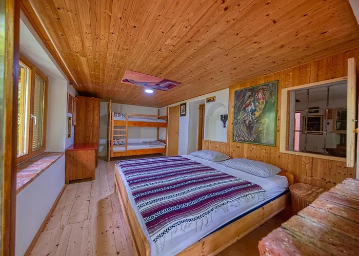 Surrounded By Forests - The Sunny Hill * Grize