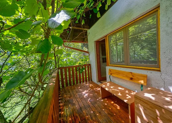 Appartement Surrounded By Forests - The Sunny Hill *