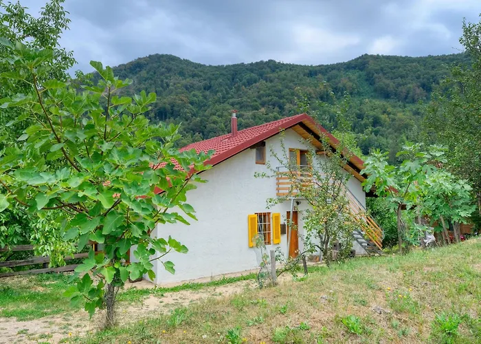 Surrounded By Forests - The Sunny Hill *