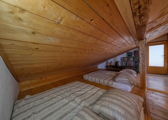 Surrounded By Forests - The Sunny Hill Appartement Grize